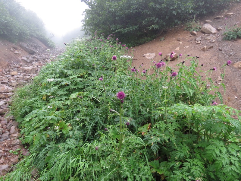 燧ヶ岳登山