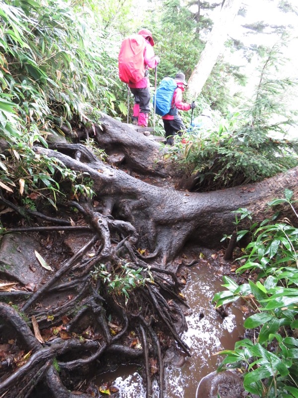 燧ヶ岳登山