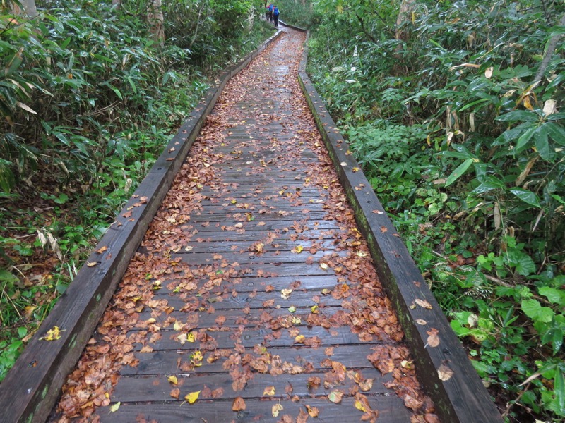 燧ヶ岳登山