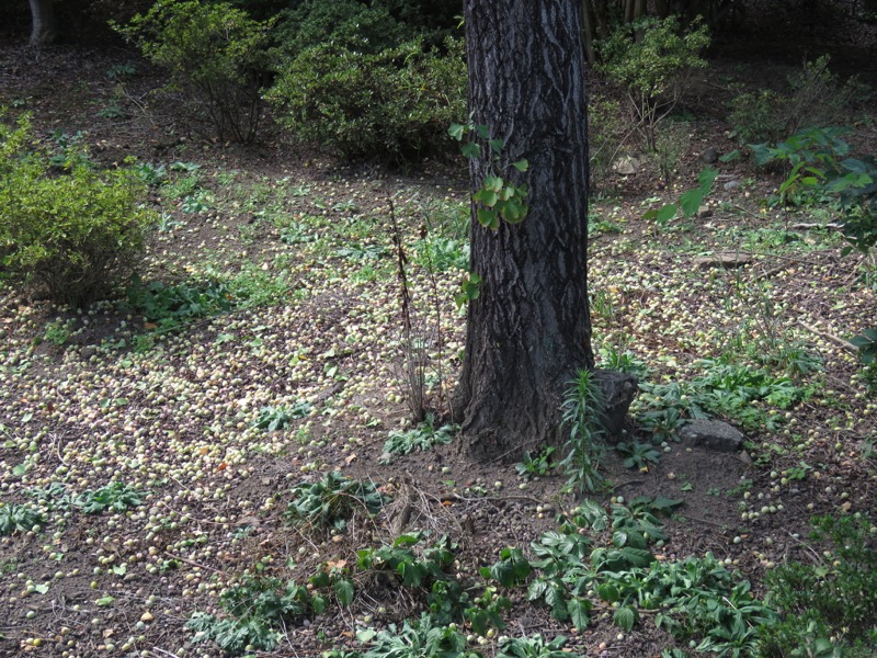 戸神山登山