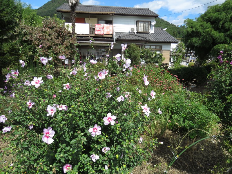 戸神山登山