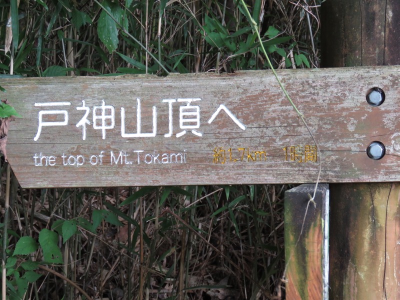 戸神山登山