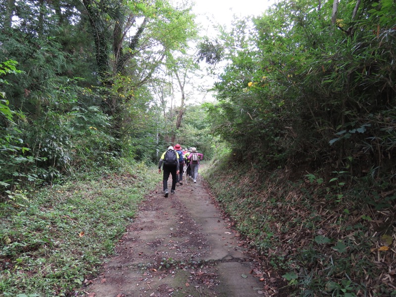 戸神山登山