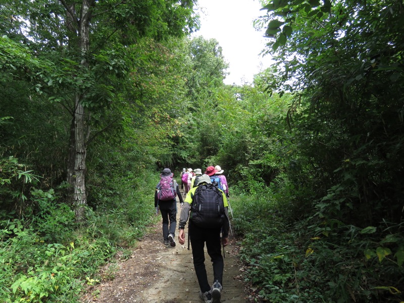 戸神山登山