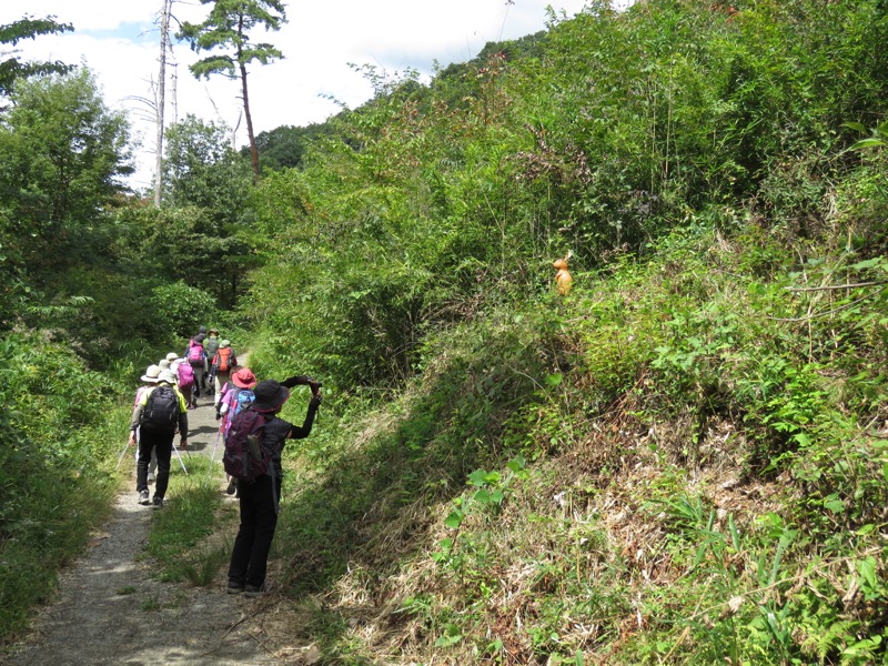 戸神山登山