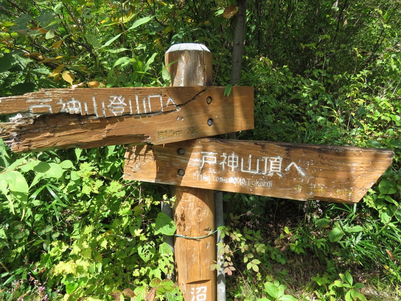 戸神山登山