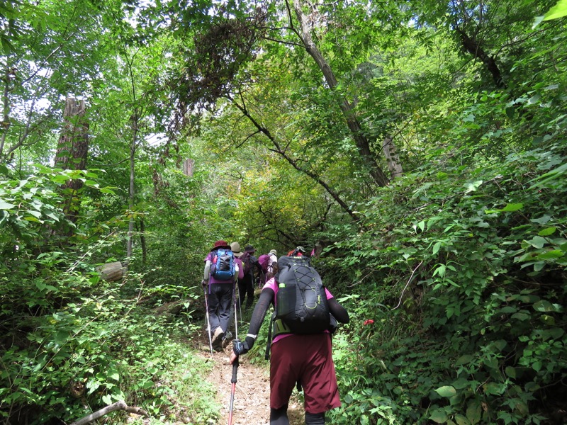 戸神山登山