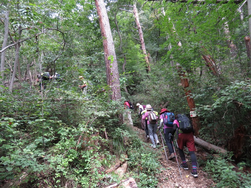 戸神山登山