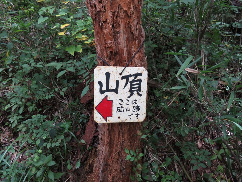 戸神山登山