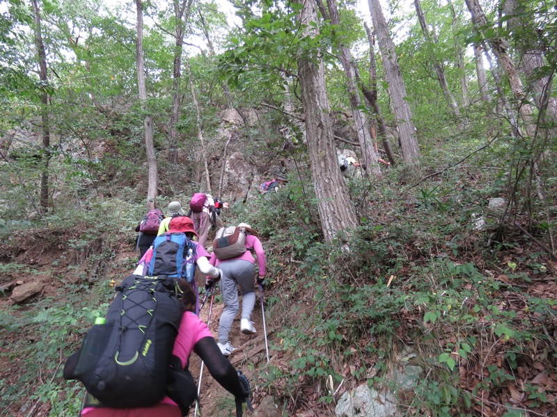 戸神山登山