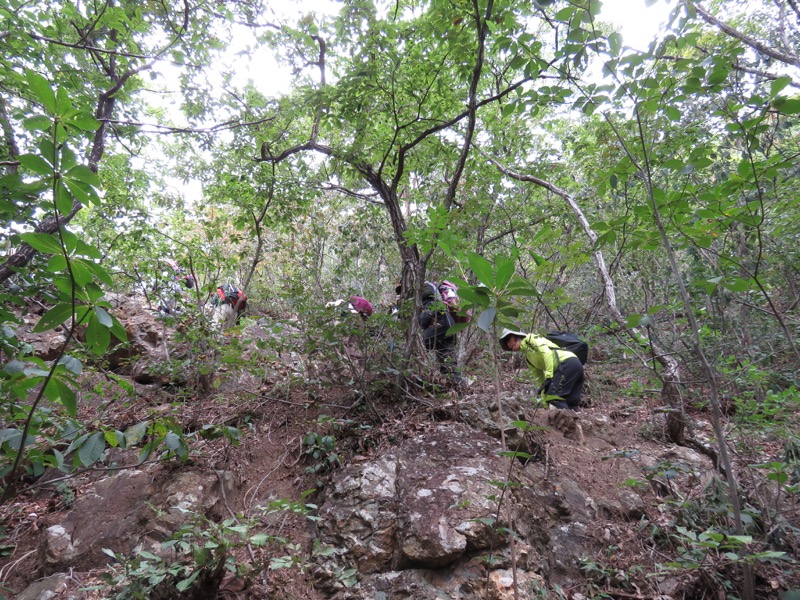 戸神山登山