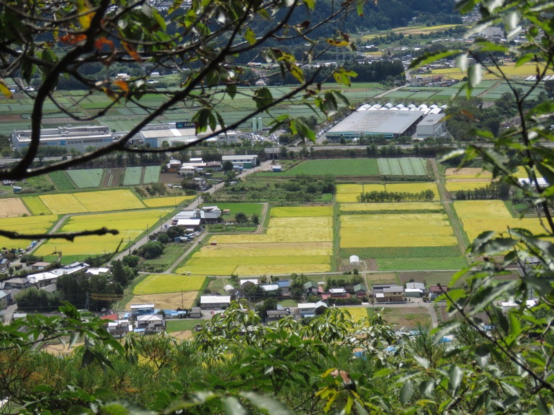 戸神山登山