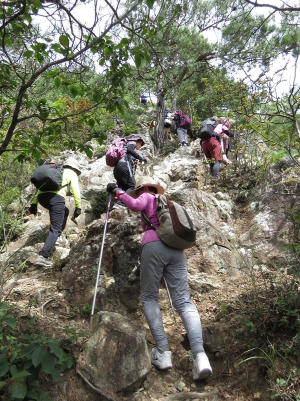 戸神山登山