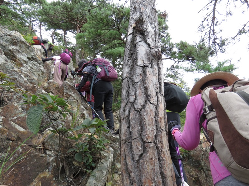 戸神山登山