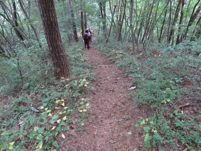 戸神山登山