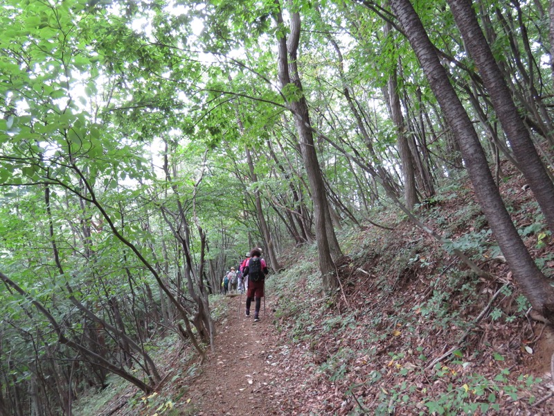 戸神山登山