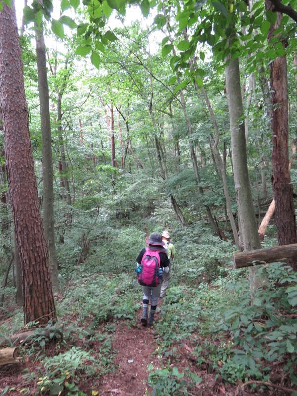 戸神山登山