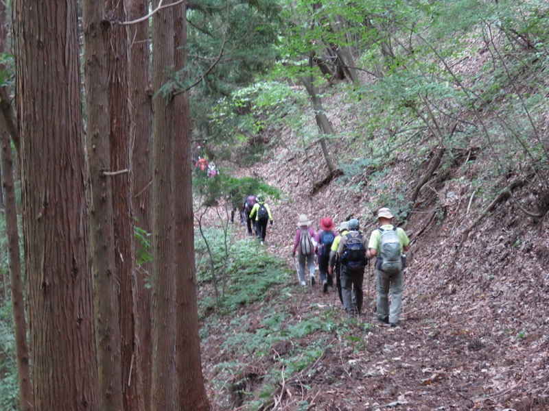 戸神山登山