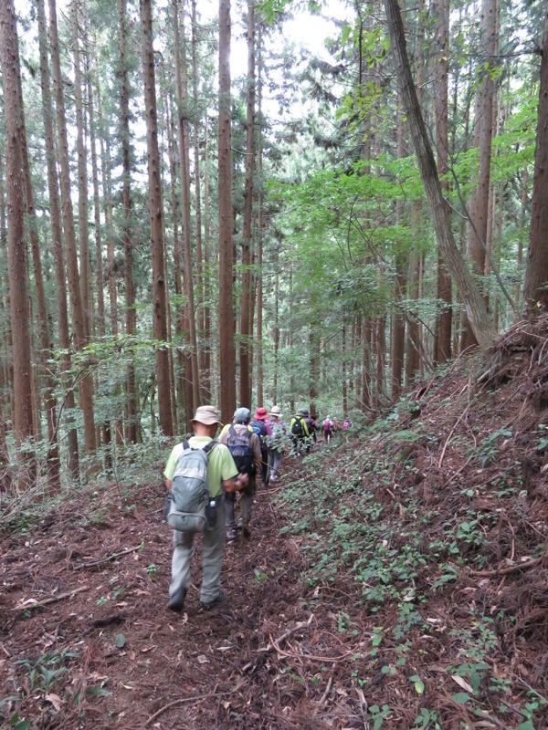 戸神山登山