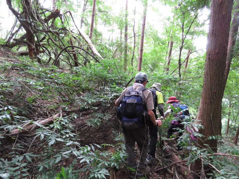 戸神山登山