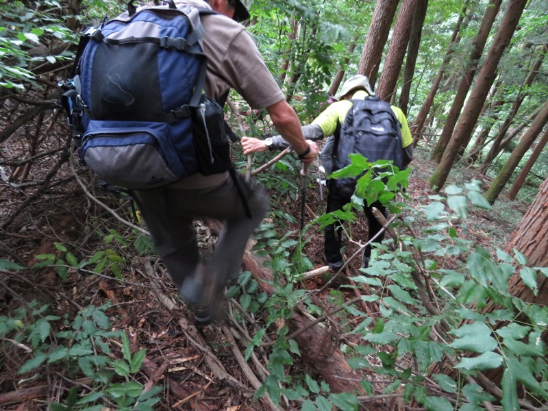 戸神山登山