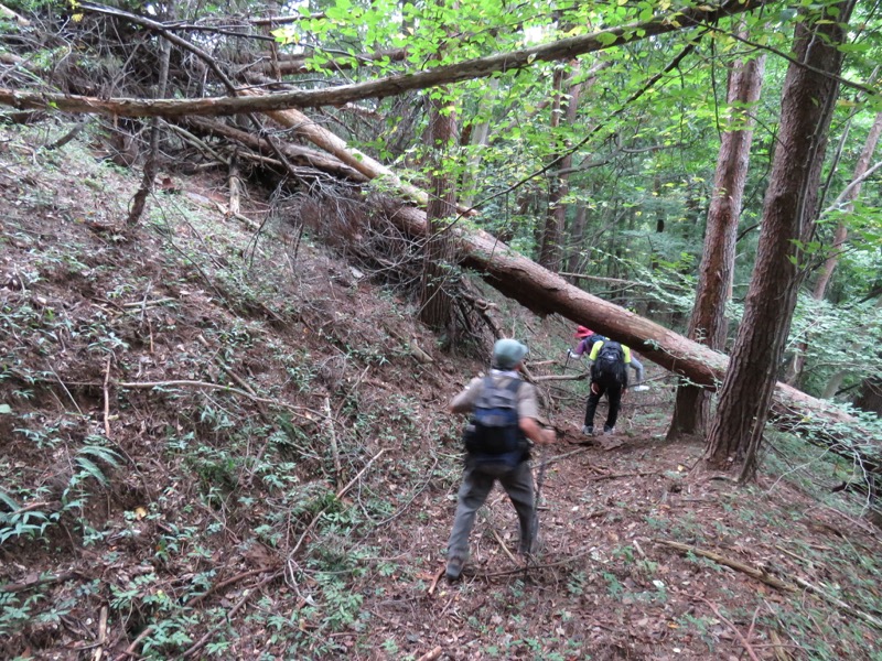 戸神山登山