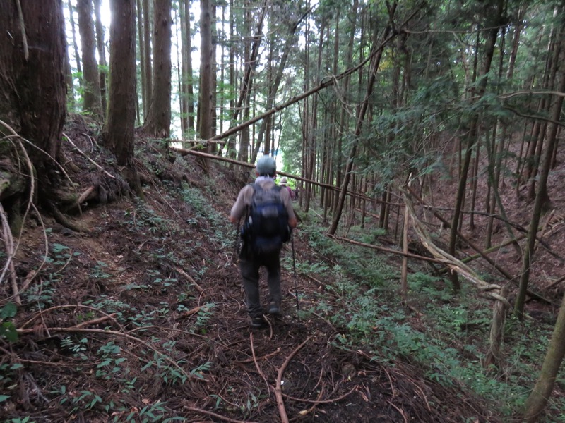 戸神山登山