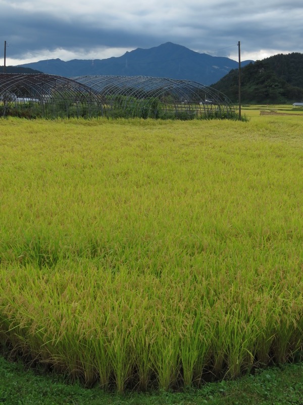 戸神山登山