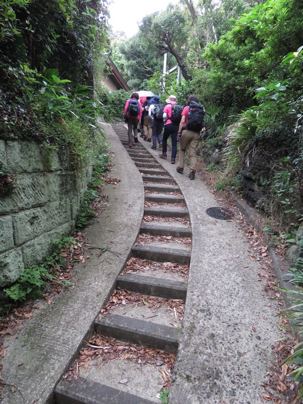 三峰山〜鷹取山登山