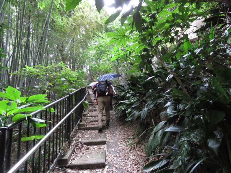 三峰山〜鷹取山登山