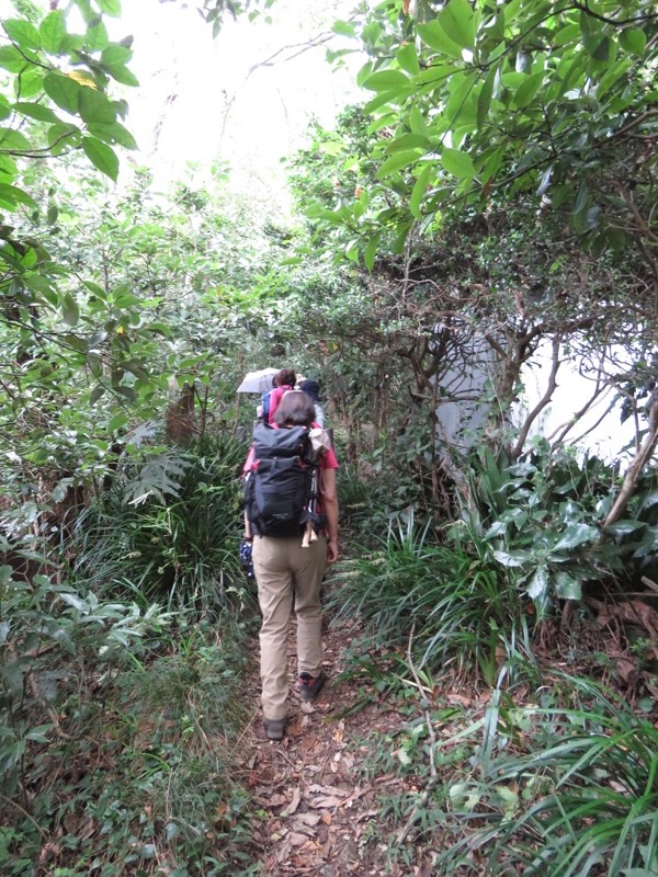 三峰山〜鷹取山登山