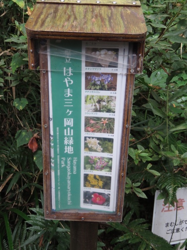 三峰山〜鷹取山登山