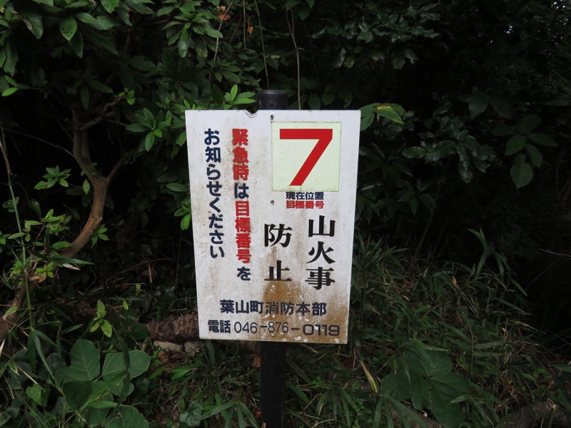 三峰山〜鷹取山登山