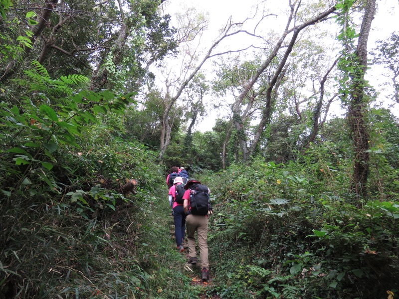 三峰山〜鷹取山登山