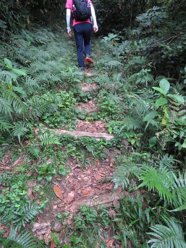 三峰山〜鷹取山登山