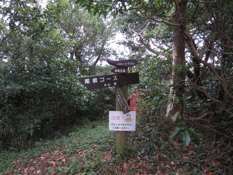 三峰山〜鷹取山登山