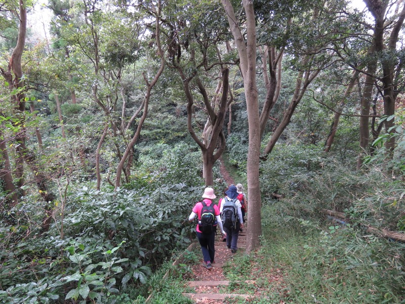 三峰山〜鷹取山登山