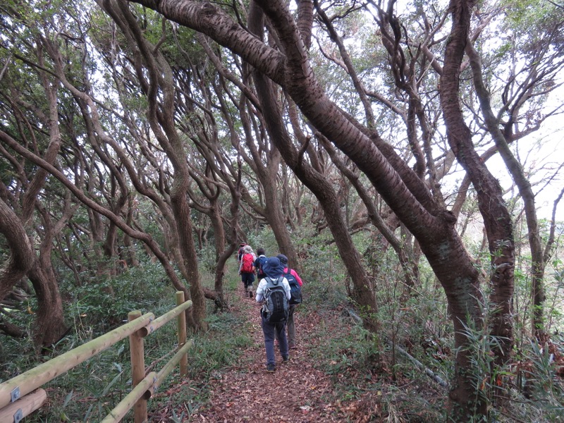 三峰山〜鷹取山登山