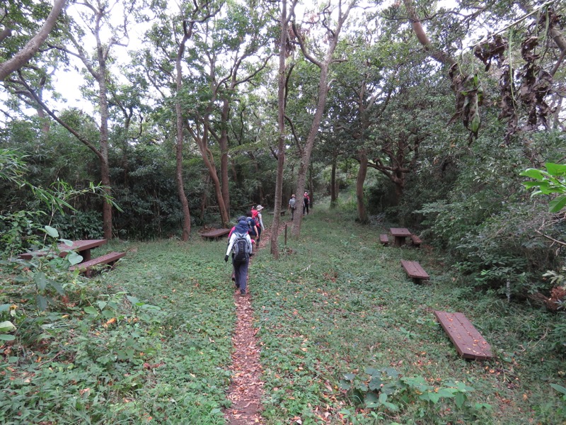 三峰山〜鷹取山登山