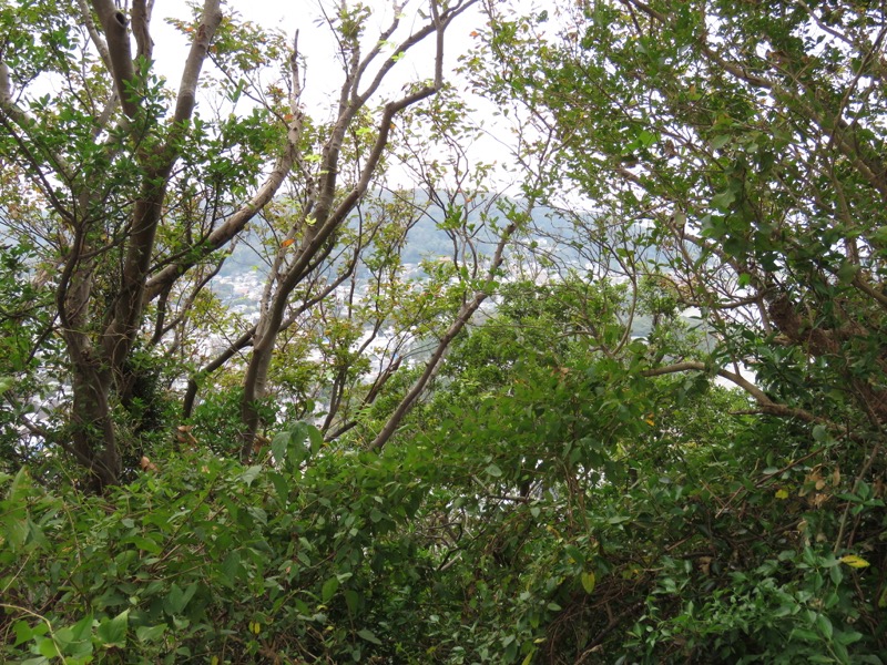 三峰山〜鷹取山登山