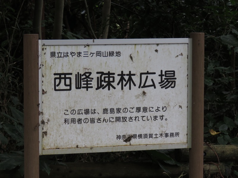 三峰山〜鷹取山登山