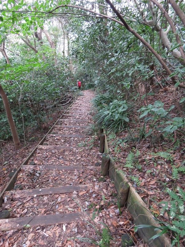 三峰山〜鷹取山登山