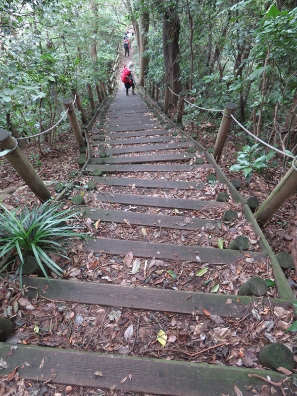 三峰山〜鷹取山登山