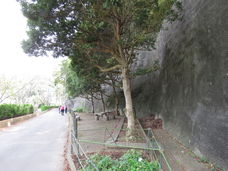 三峰山〜鷹取山登山