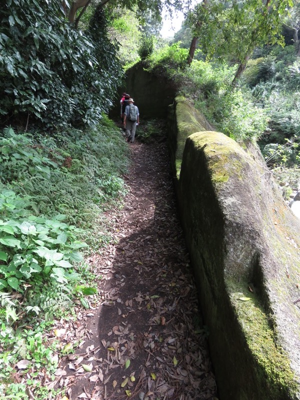 三峰山〜鷹取山登山