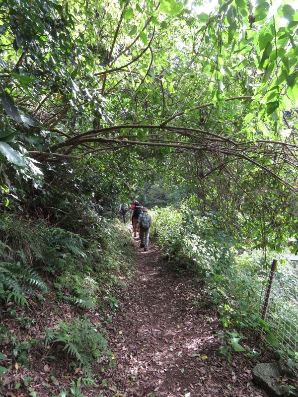 三峰山〜鷹取山登山