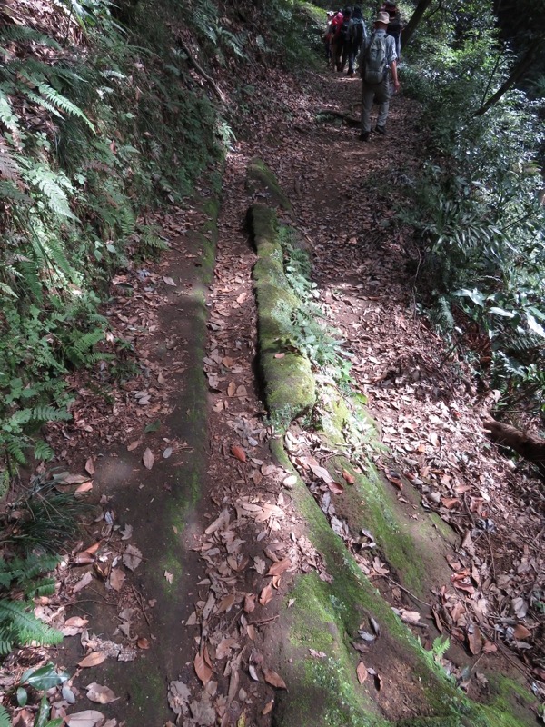 三峰山〜鷹取山登山