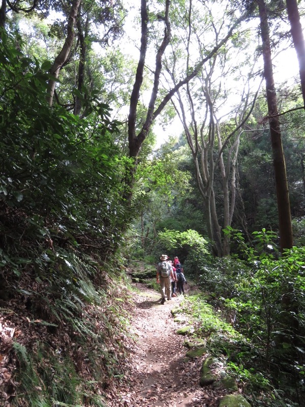 三峰山〜鷹取山登山