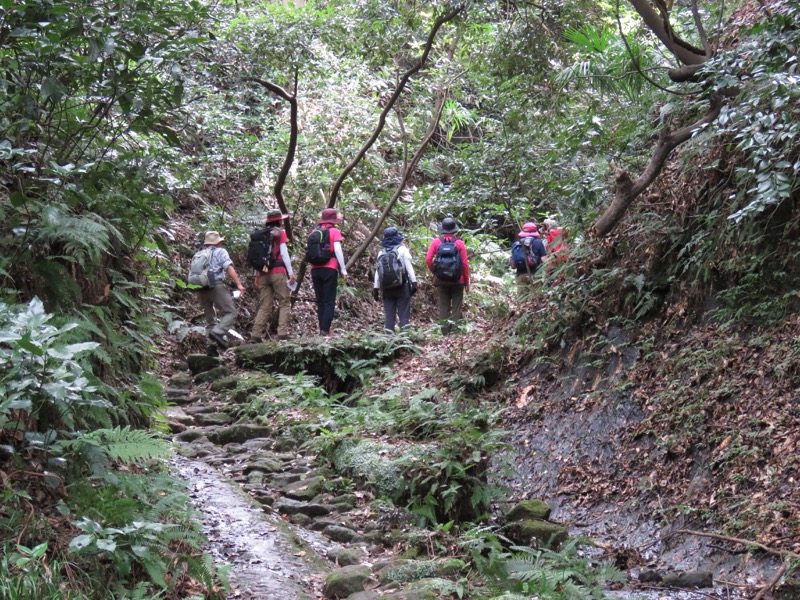 三峰山〜鷹取山登山