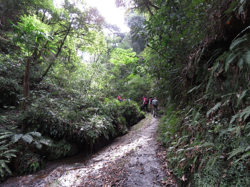 三峰山〜鷹取山登山